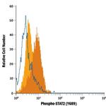 Phospho-STAT2 (Tyr689) Antibody in Flow Cytometry (Flow)