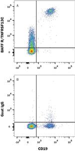 CD268 (BAFF Receptor) Antibody in Flow Cytometry (Flow)