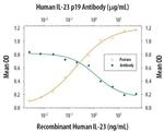 IL-23 p19 Antibody