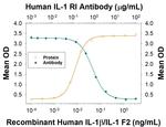 IL1R1 Antibody in Neutralization (Neu)