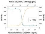 CXCL6 Antibody in Neutralization (Neu)