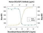 CXCL6 Antibody