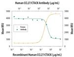 CCL27 Antibody in Neutralization (Neu)