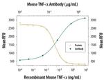 TNF alpha Antibody