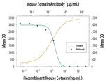 Eotaxin Antibody in Neutralization (Neu)