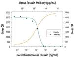 Eotaxin Antibody