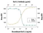 IL-2 Antibody