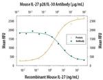 IL-27 p28 Antibody