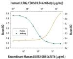 LILRB2 Antibody