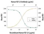 FGF23 Antibody