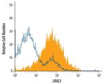 LRIG1 Antibody in Flow Cytometry (Flow)