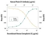 PLXND1 Antibody in Neutralization (Neu)