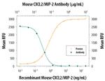 CXCL2 Antibody in Neutralization (Neu)