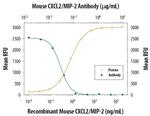 CXCL2 Antibody