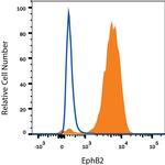 EphB2 Antibody in Flow Cytometry (Flow)