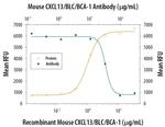 CXCL13 Antibody in Neutralization (Neu)