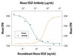 VEGF-164 Antibody in Neutralization (Neu)