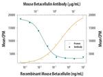 betacellulin Antibody in Neutralization (Neu)