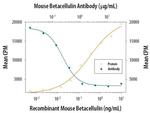 betacellulin Antibody