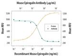 Epiregulin Antibody in Neutralization (Neu)