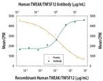 TWEAK Antibody