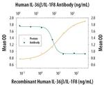 IL36B Antibody in Neutralization (Neu)