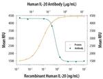 IL-20 Antibody in Neutralization (Neu)