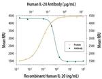 IL-20 Antibody