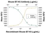 B7-H3 Antibody
