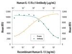 IL13RA1 Antibody in Neutralization (Neu)