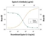 IL-6 Antibody in Neutralization (Neu)