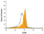 SLAMF8 Antibody in Flow Cytometry (Flow)