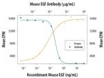 EGF Antibody in Neutralization (Neu)