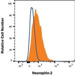 Neuropilin 2 Antibody in Flow Cytometry (Flow)