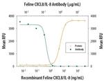 IL-8 (CXCL8) Antibody