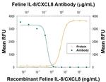 IL-8 (CXCL8) Antibody in Neutralization (Neu)