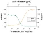 SCF Antibody in Neutralization (Neu)