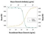 Chemerin Antibody in Neutralization (Neu)