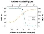 HBEGF Antibody in Neutralization (Neu)