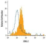 CMG2 Antibody in Flow Cytometry (Flow)