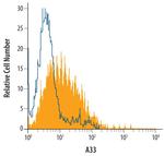 A33 Antibody in Flow Cytometry (Flow)