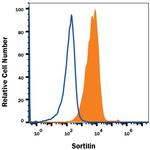 Sortilin Antibody in Flow Cytometry (Flow)