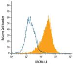 DSCAML1 Antibody in Flow Cytometry (Flow)