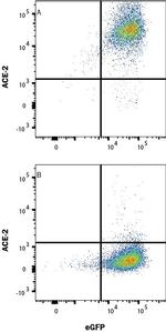 ACE2 Antibody in Flow Cytometry (Flow)