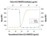 CCL5 (RANTES) Antibody in Neutralization (Neu)