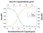 FLT3LG Antibody in Neutralization (Neu)