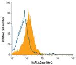 NAALADL2 Antibody in Flow Cytometry (Flow)