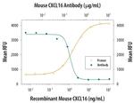 CXCL16 Antibody in Neutralization (Neu)