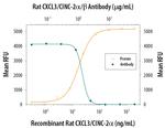 CXCL3 Antibody in Neutralization (Neu)