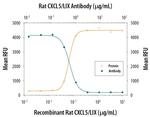 CXCL5 Antibody in Neutralization (Neu)